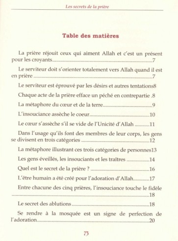 Les 101 secrets de la prière islamique (Les lumières de l'islam) by Mohamed  zid